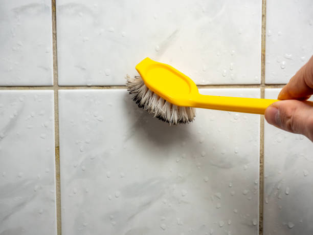 Best Same-Day Mold Removal  in Cheshire Village, CT